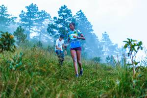 BIB: 
                            <button type="button" onclick="openModal(25043443)" class="btn btn-primary btn-sm float-right btn-popup" data-toggle="modal" data-target=".modal-high-quality">
                        <i class="fas fa-shopping-cart"></i> Add to Cart
                    </button>
                                            <button type="button" onclick="isThisMe(25043443, true)" class="btn btn-success btn-sm float-right btn-popup btn-isme hidden" data-toggle="tooltip" data-placement="bottom" title="นี่คือรูปของคุณใช่ไหม คลิกที่นี่เพื่อเอาเข้าอัลบั้ม">
                        <i class="fas fa-plus"></i> Add to album
                    </button>
                    <button type="button" onclick="isThisMe(25043443, false)" class="btn btn-warning btn-sm float-right btn-popup btn-isnotme hidden">
                        <i class="fas fa-ban"></i> Remove from album
                    </button>